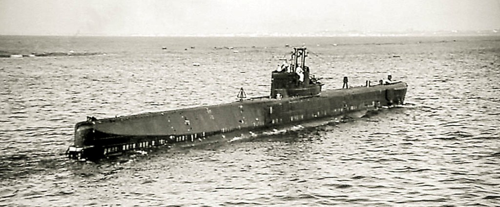 Szczęściarz Rorqual