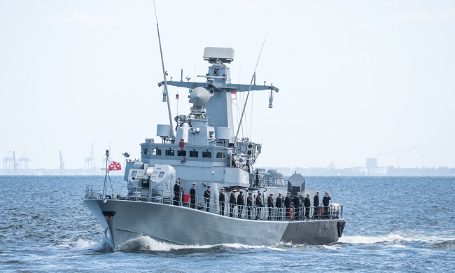 Bałtycka Murena