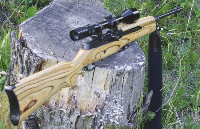 Ruger Mini 14 vs AR