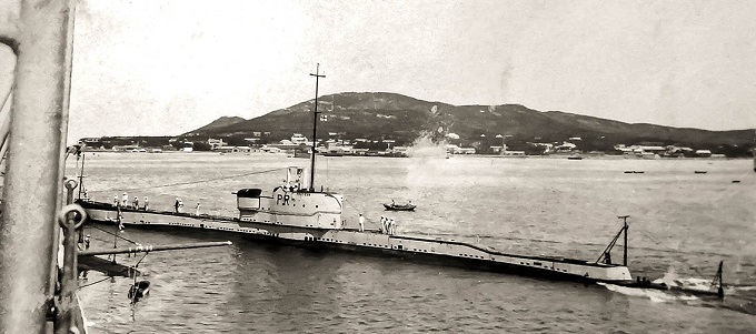 Rzeźnik Proteus