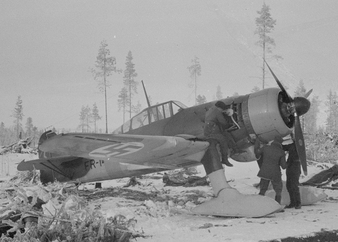 Fokker D.XXI cz. III