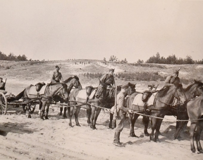 Samodzielne dywizjony artylerii ciężkiej czyli 30 razy dac. Prace z lat 1938-1939